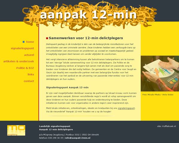 website Aanpak 12-min 2010